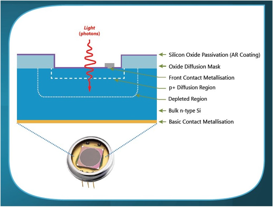 silicone photodiodes